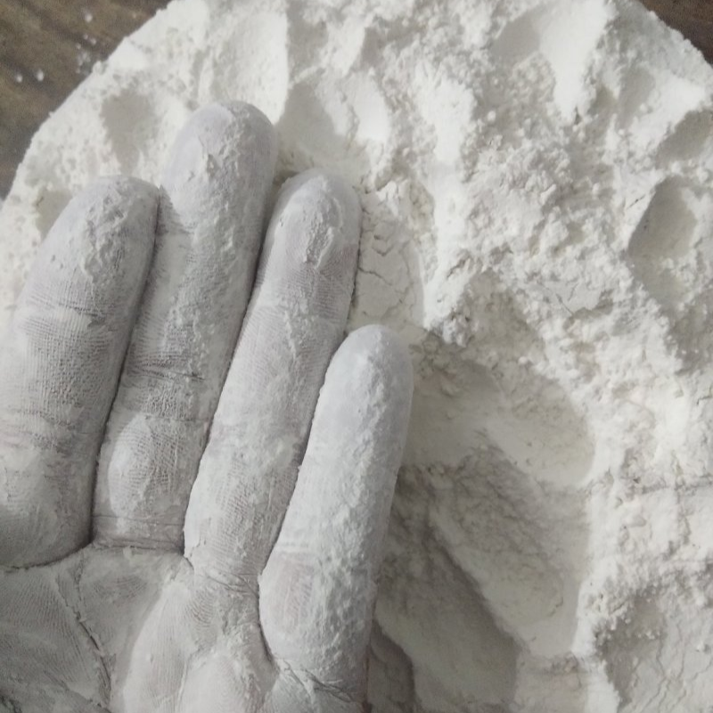 Talc Powder CAS 14807-96-6