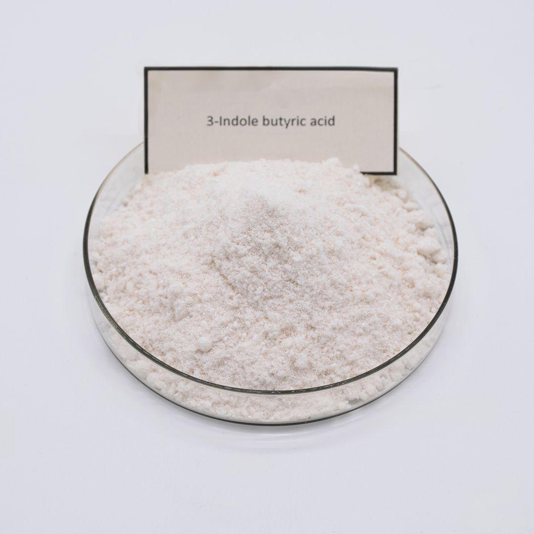 3-Indolebutyric acid CAS 133-32-4 IBA