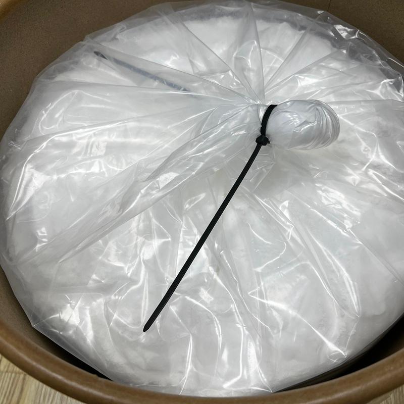 Citicoline CAS 987-78-0 CDP choline