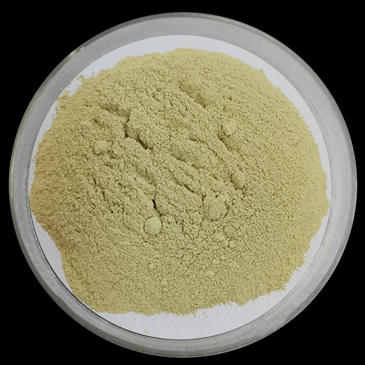 Oleuropein CAS 32619-42-4