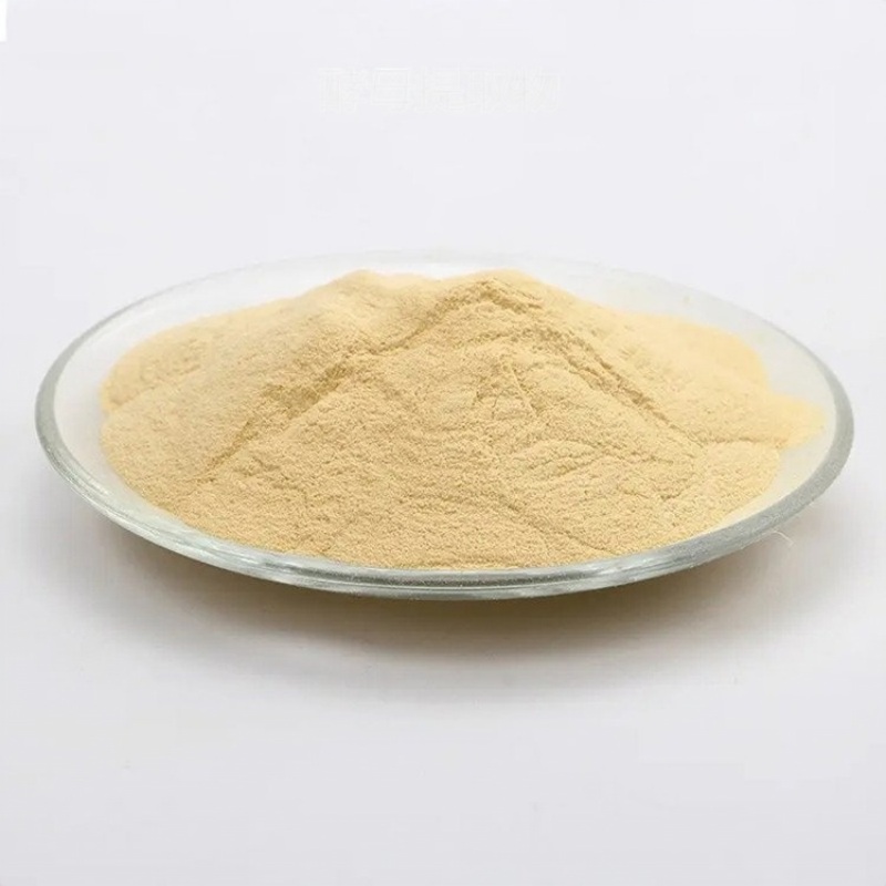 Yeast extract CAS 8013-01-2